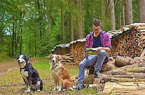 Auf dem Bild sitzt ein Mann auf einem Baumstamm und liest ein Buch. Daneben sitzen zwei Hunde.